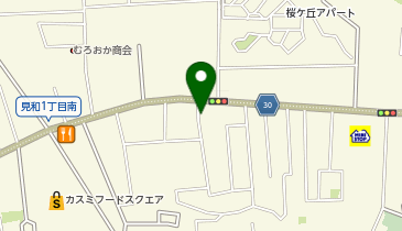 こころキッズスタジオの地図画像