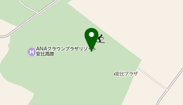 ピザーラエクスプレスの地図画像