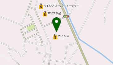 ペッツワンカインズホーム小山店の地図画像