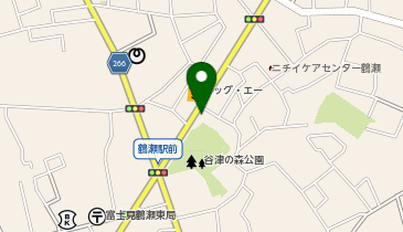 ヤシの木薬局の地図画像