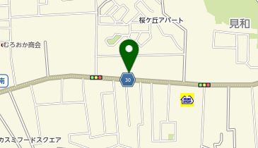 クスリのアオキ水戸見川店の地図画像