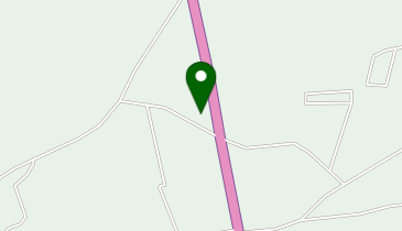 大洋街道SS / 菅谷石油店の地図画像