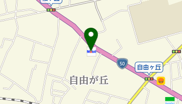 自由が丘SS / (有)大森商会の地図画像