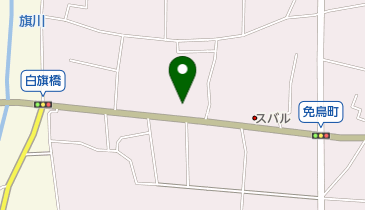オートパーク佐野SS / (株)大関商店の地図画像