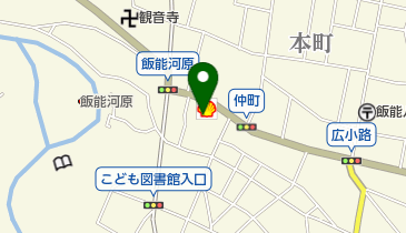 飯能SS / (株)平沼康夫商店の地図画像