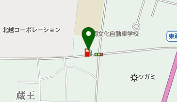 長岡文化SS / (株)スタッフサイトウの地図画像