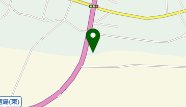 新飯田SS / (株)安藤プロパンの地図画像