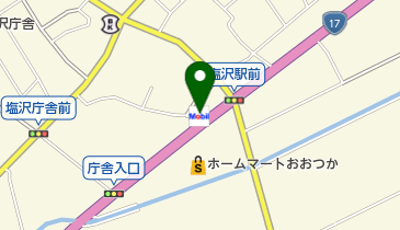 塩沢SS / (有)大塚金物店の地図画像
