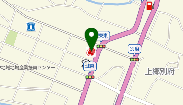 飯田城東SS / (有)綿治硝子店の地図画像