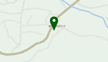 野沢温泉SS / (有)宮崎商店の地図画像