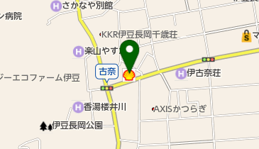 伊豆長岡SS / (有)蛭海商店の地図画像