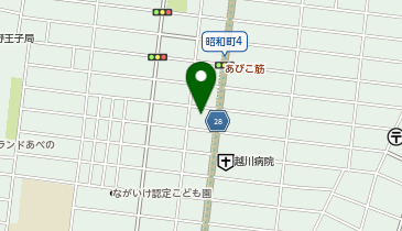 スマートエコステーション阪南町SS / (株)シェル石油大阪発売所の地図画像
