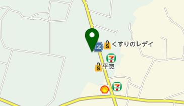 セルフステーションREXSS / 立田石油(有)の地図画像