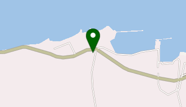 大島石油SS / 大島石油(有)の地図画像