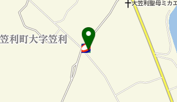 笠利SS / 川上石油店の地図画像