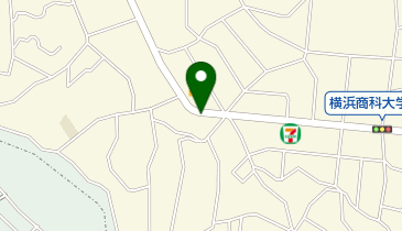 中華料理 龍巳の地図画像