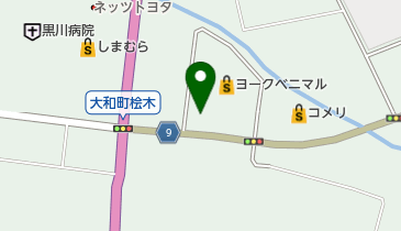 中国料理 大清の地図画像