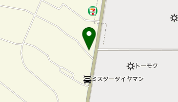 大勝軒 (千代田町店)の地図画像