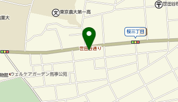 麺処 Niboshi しんこつの地図画像