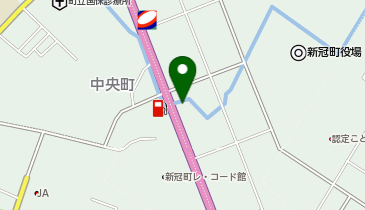 ラーメン寶龍 (新冠店)の地図画像