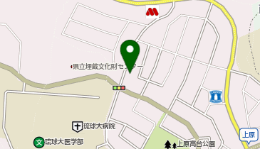 支那そば かでかる (酒場2号店)の地図画像