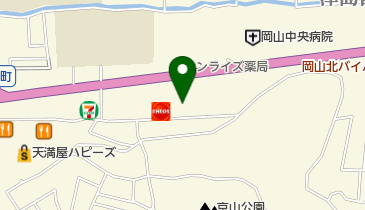 ラーメン大統領 (津島店)の地図画像