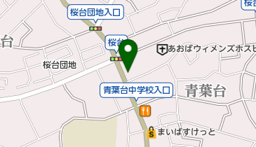 Aoyama Flower Market アオヤマ フラワー マーケット 青葉台店 花屋 周辺のラーメン Navitime