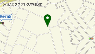 自由軒 (守谷支店)の地図画像