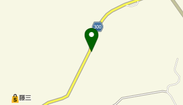 川口お好み店の地図画像