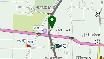 金星?の地図画像