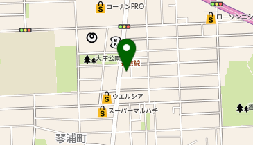 将軍の地図画像