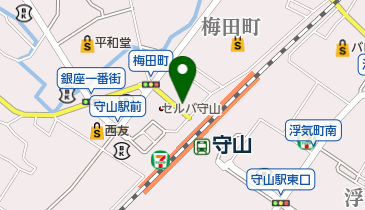 平井亭の地図画像