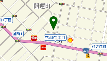 カリーザイオンの地図画像