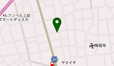 レストラン タツミの地図画像