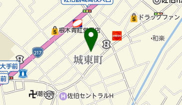 白鳳の地図画像