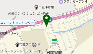 真の地図画像