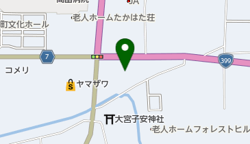 Tom Tomの地図画像