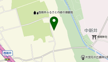 たねやの地図画像