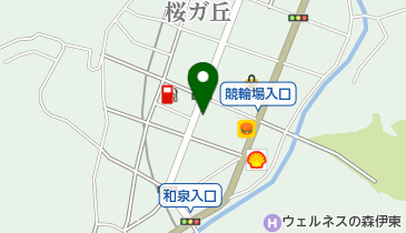 中華飲茶かねいの地図画像