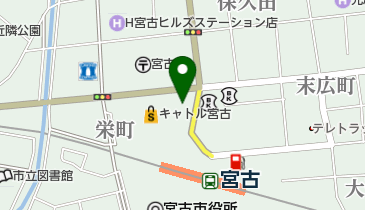 トムトムの地図画像