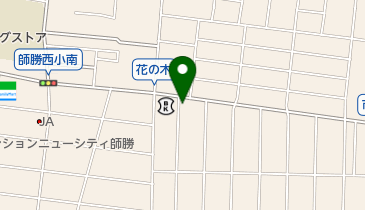 アミューズ 師勝店の地図画像