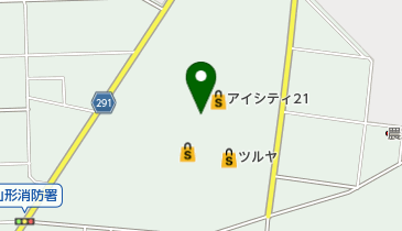 CHINESE RESTAURNT  Shun Leeの地図画像