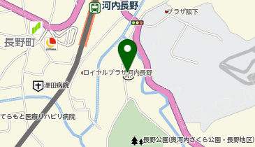 天然温泉 河内長野荘の地図画像