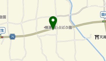サバイディーの地図画像
