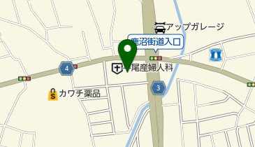 宇都宮ペニーレイン 鶴田店の地図画像