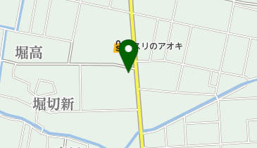 ライオンの地図画像