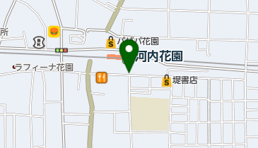 ライオンの地図画像