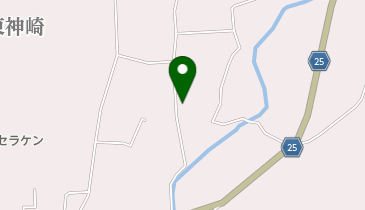 pizza amore 仲田屋の地図画像