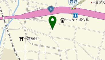 IL PAZZINIの地図画像