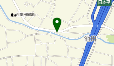 RAJ PALACEの地図画像